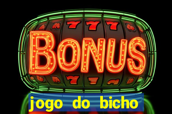 jogo do bicho crash bingo