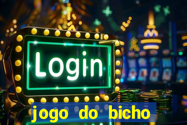 jogo do bicho crash bingo