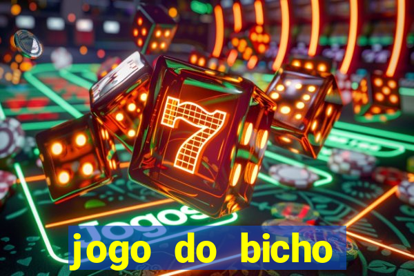 jogo do bicho crash bingo