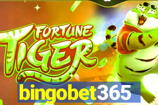 bingobet365