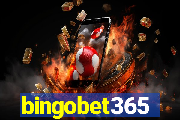 bingobet365