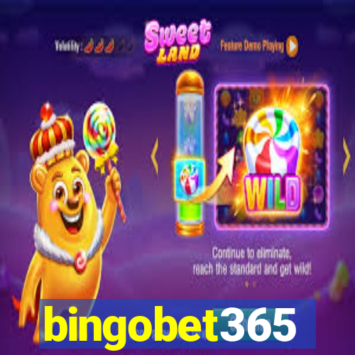 bingobet365