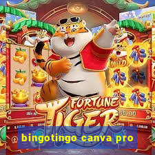 bingotingo canva pro