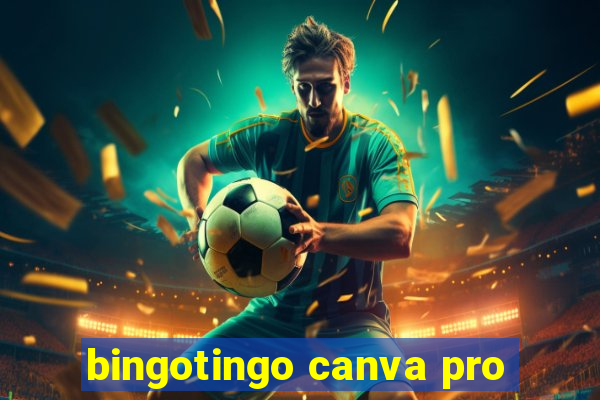 bingotingo canva pro