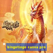 bingotingo canva pro