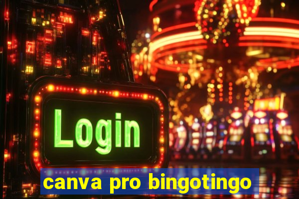 canva pro bingotingo