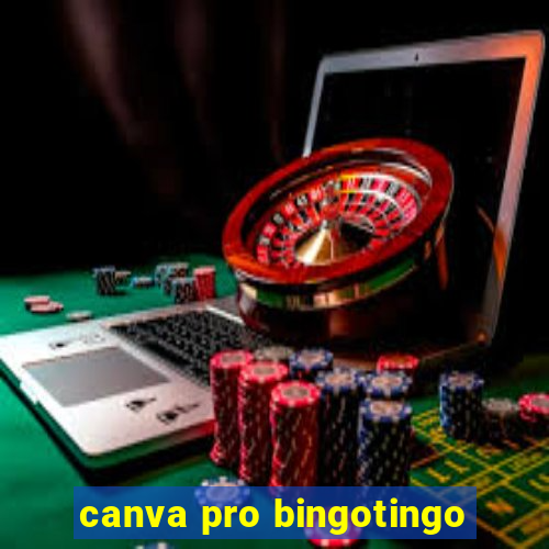 canva pro bingotingo