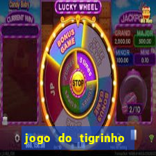 jogo do tigrinho falso para brincar